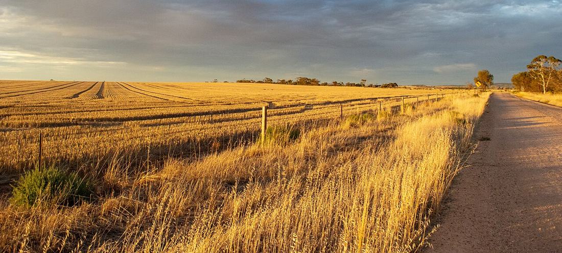 A farm in Australia. Seasonal and farm work is common part-time work.